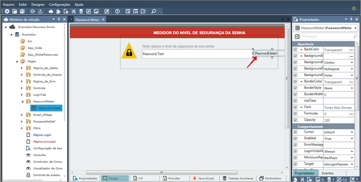 Controle PasswordMeter utilizado no exemplo Recursos Gvinci